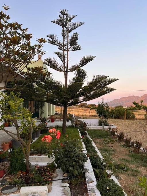 Borgo Majoca - Μονοκατοικία Σε Κυκλαδίτικο Νησί Mési Екстериор снимка